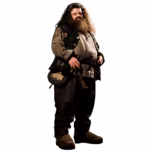 Hagrid (Harry Potter)