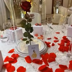 Festa a tema la Bella e la Bestia