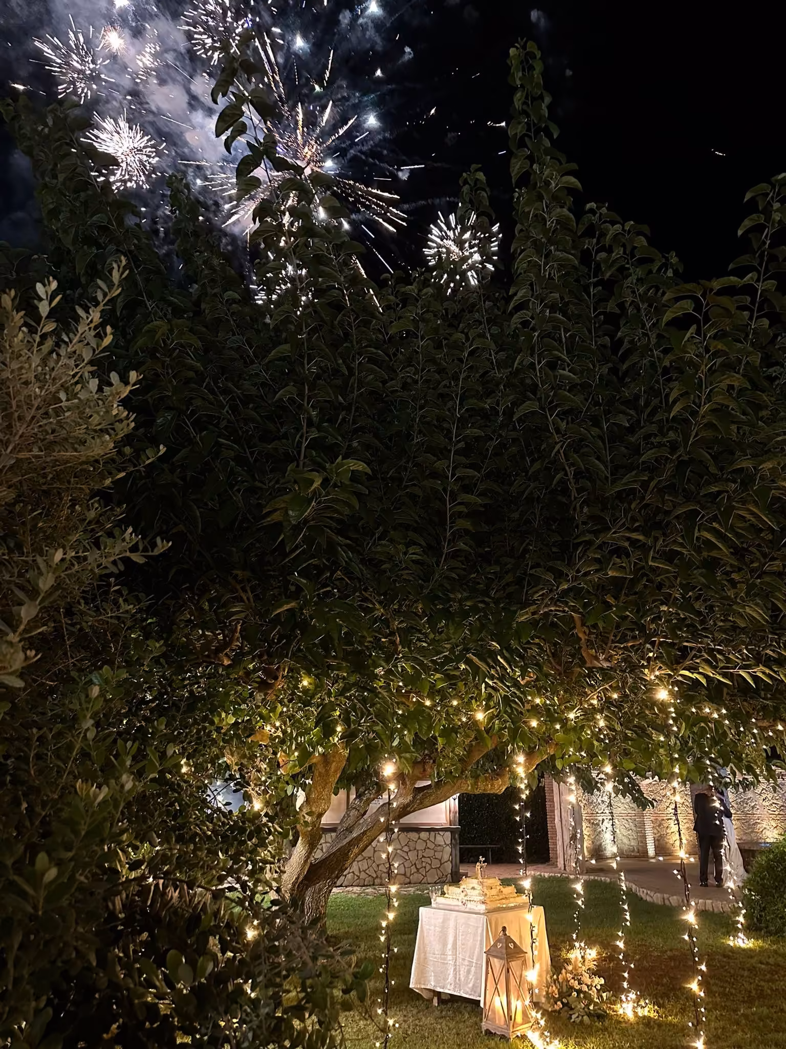 Allestimento Cascate Luminose - Luce Calda - immagine 2