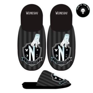 Pantofole Mercoledì logo